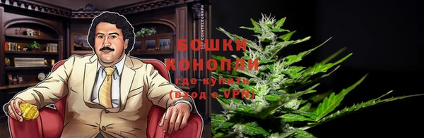 спиды Богородицк